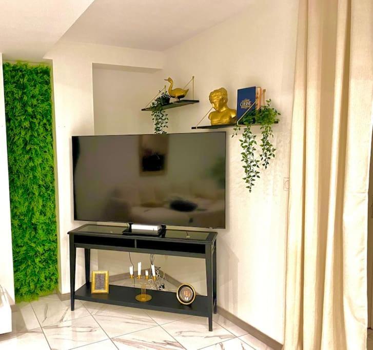 Toulouse Vaste Appartement Tres Lumineux ภายนอก รูปภาพ